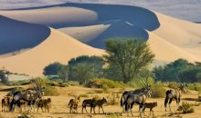 Descopera Namibia la pret redus! Zboruri din Portugalia, doar 285€! Descopera Namibia la pret redus! Zboruri din Portugalia, doar 285€!